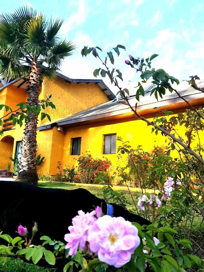 Casa Felice Guest House La Serena Exterior photo