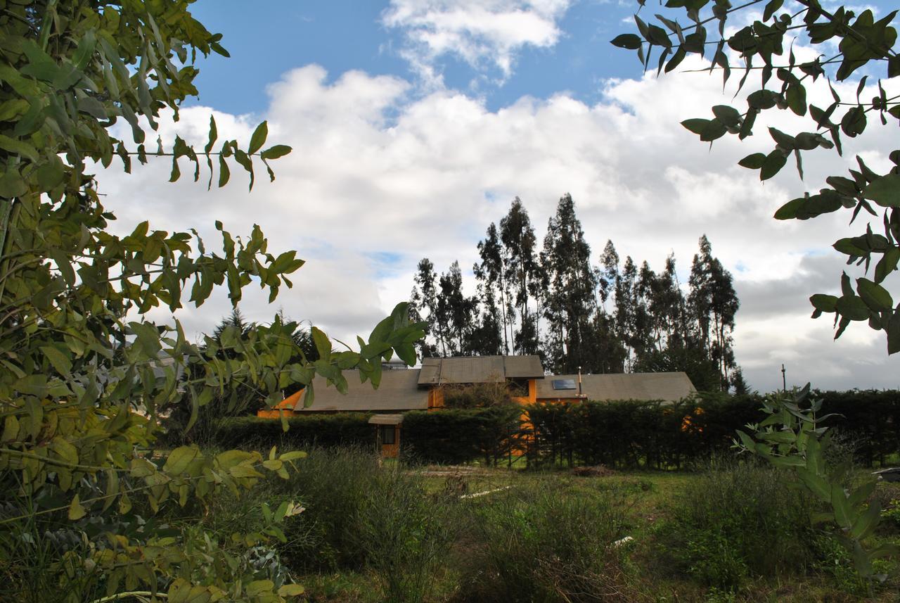 Casa Felice Guest House La Serena Exterior photo