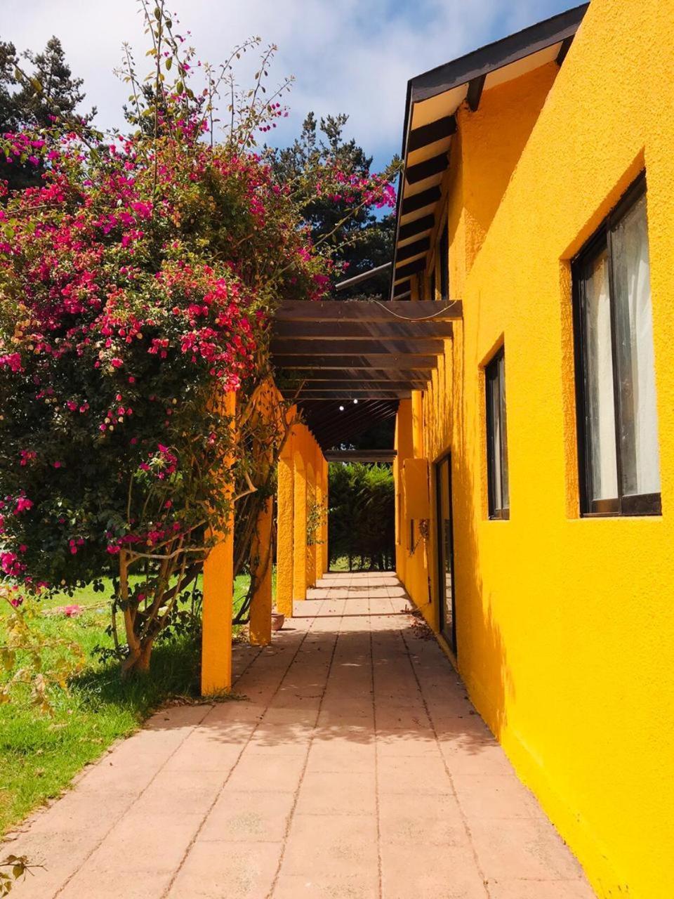 Casa Felice Guest House La Serena Exterior photo